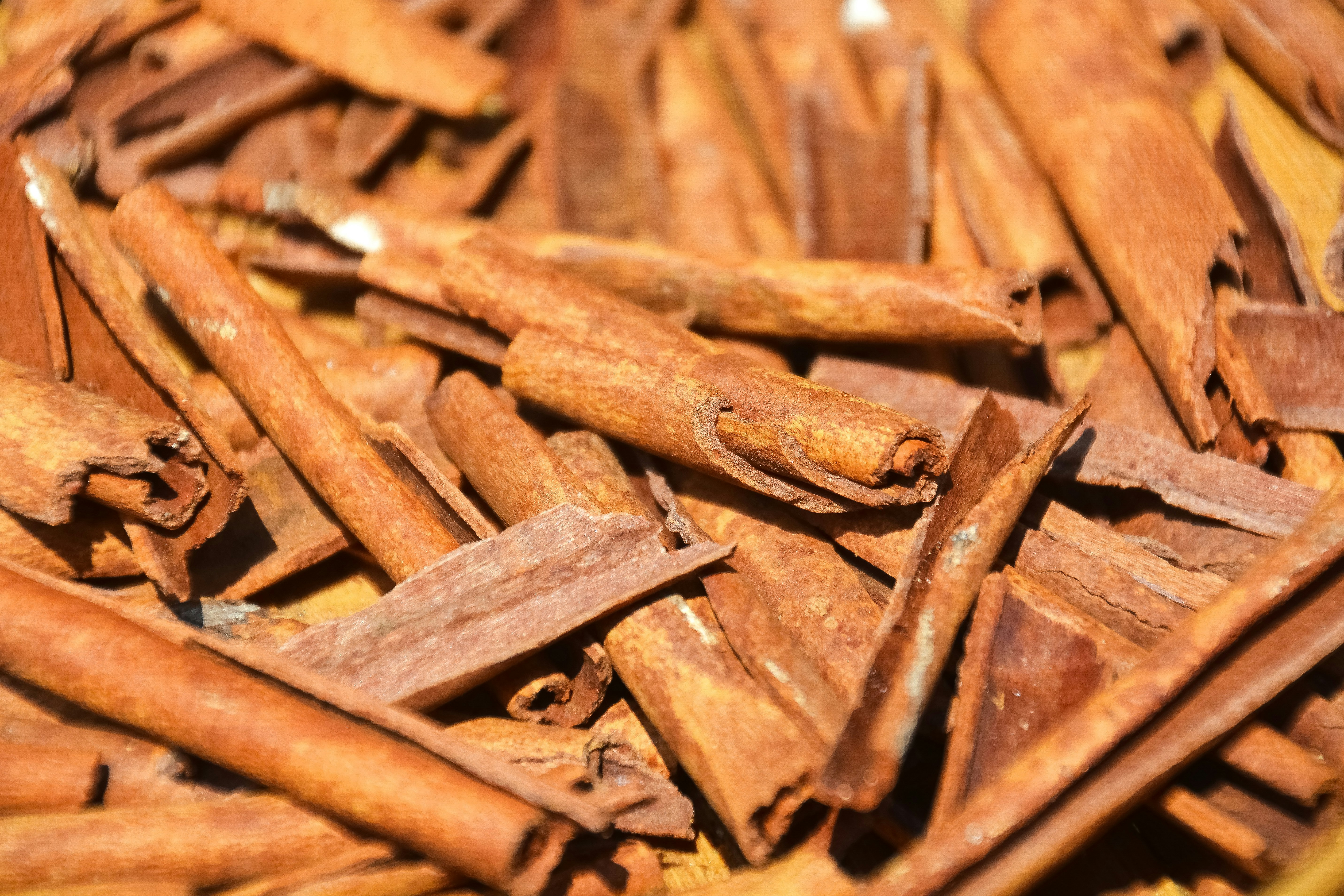 brown dried leaves on ground